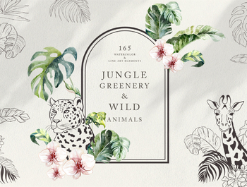 Jungle Greenery & Wild Animals.