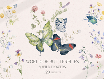 World of Butterflies & Wild Flowers.