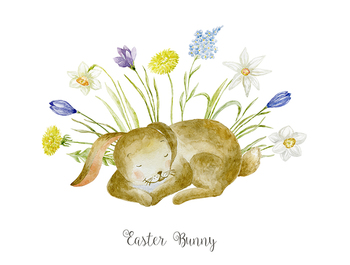 Cute Sleeped Watercolor Bunny (Free)
